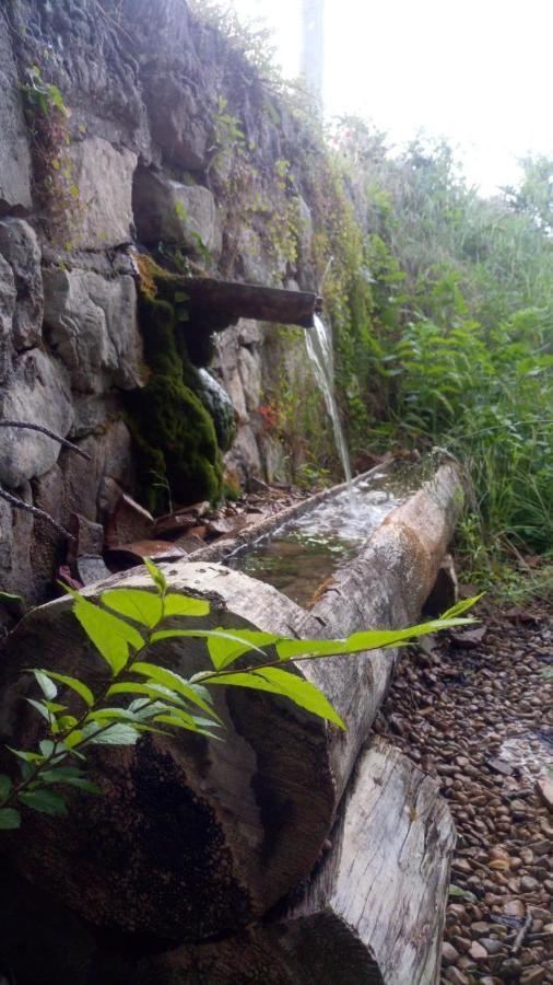 Hotel Rio Escabas, Serrania De Cuenca Canamares Luaran gambar