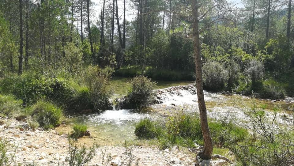 Hotel Rio Escabas, Serrania De Cuenca Canamares Luaran gambar