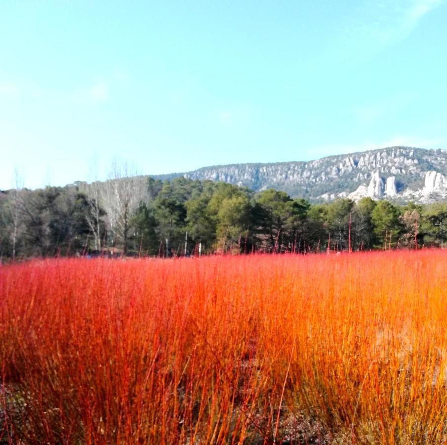 Hotel Rio Escabas, Serrania De Cuenca Canamares Luaran gambar